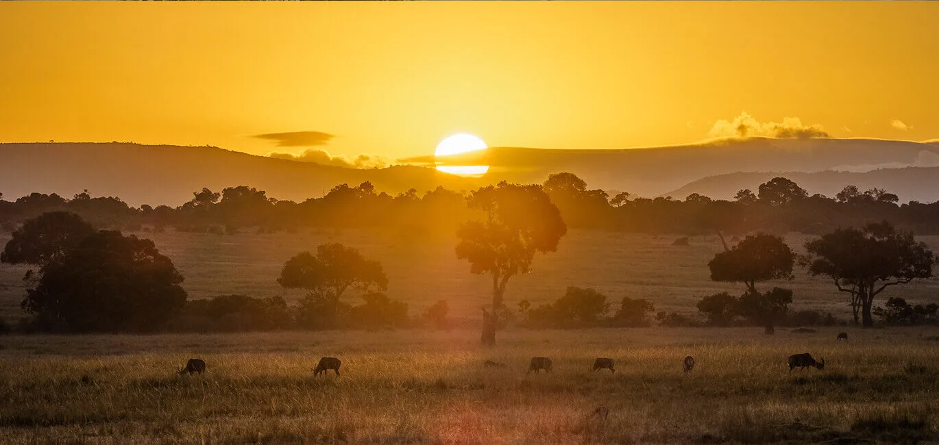 Maasai Mara Safari Package banner